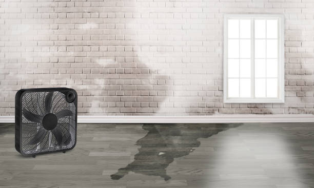 Best Flooded house restoration  in Prescott Valley, AZ