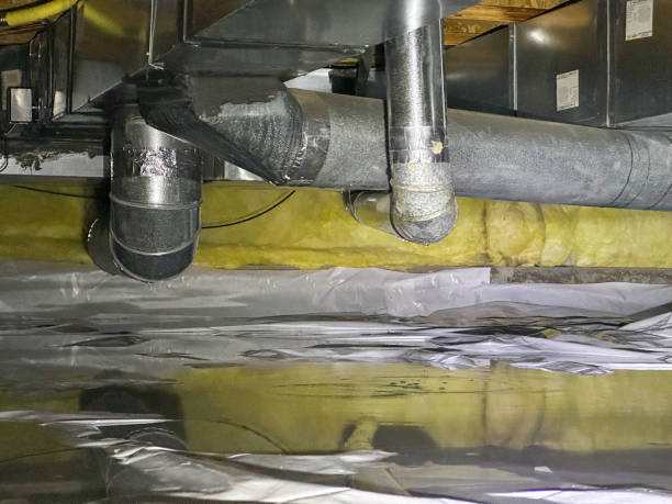 Best Carpet water damage restoration  in Prescott Valley, AZ