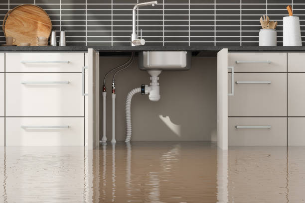 Best Professional water damage repair  in Prescott Valley, AZ