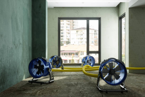 Prescott Valley, AZ Water damage restoration Company