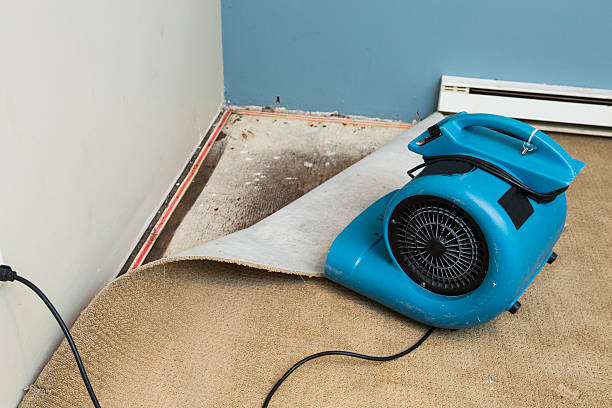 Water damage restoration mold remediation in Prescott Valley, AZ